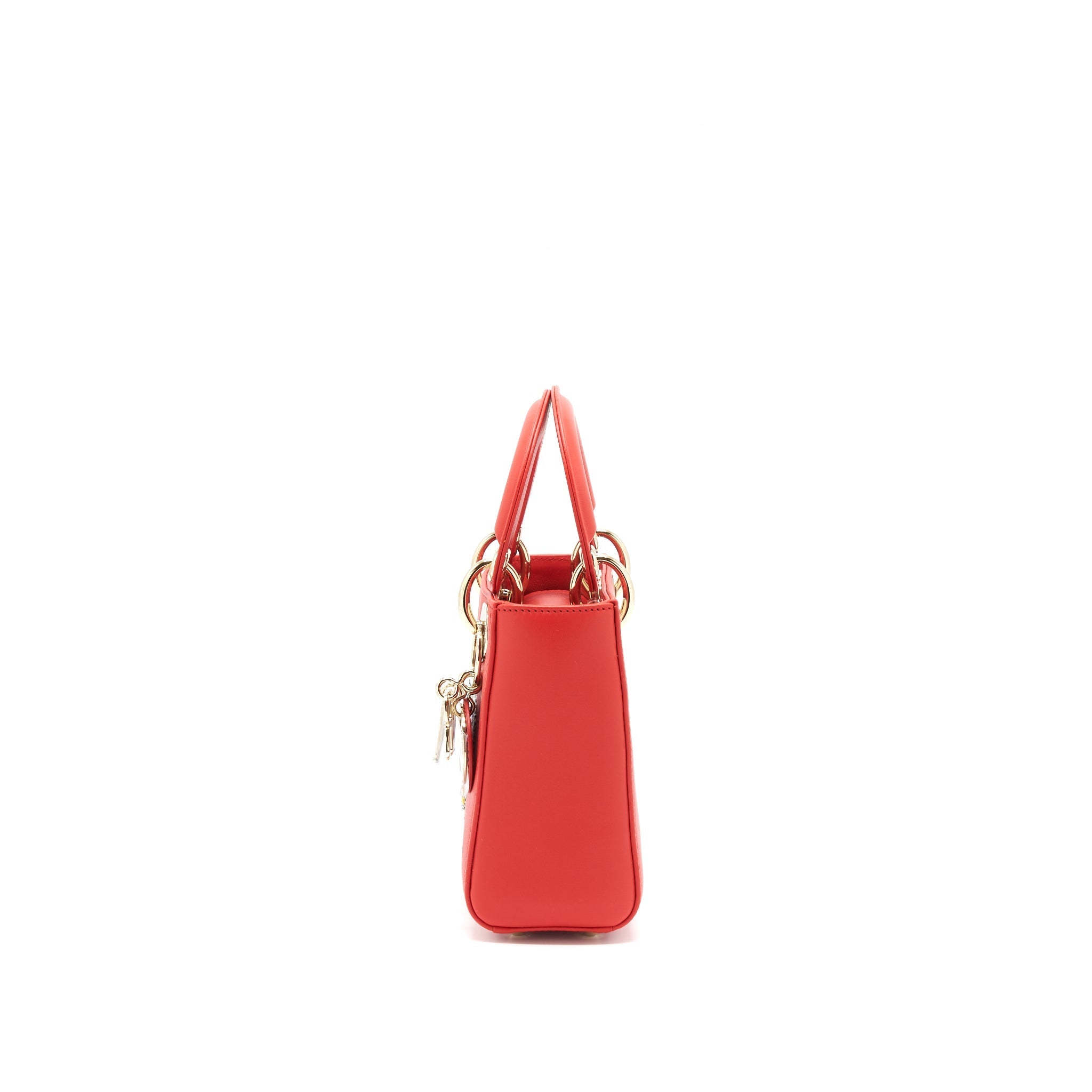 CHRISTIAN DIOR MINI LADY DIOR NIKI DE SAINT PHALLE SPECIAL EDITION LGHW