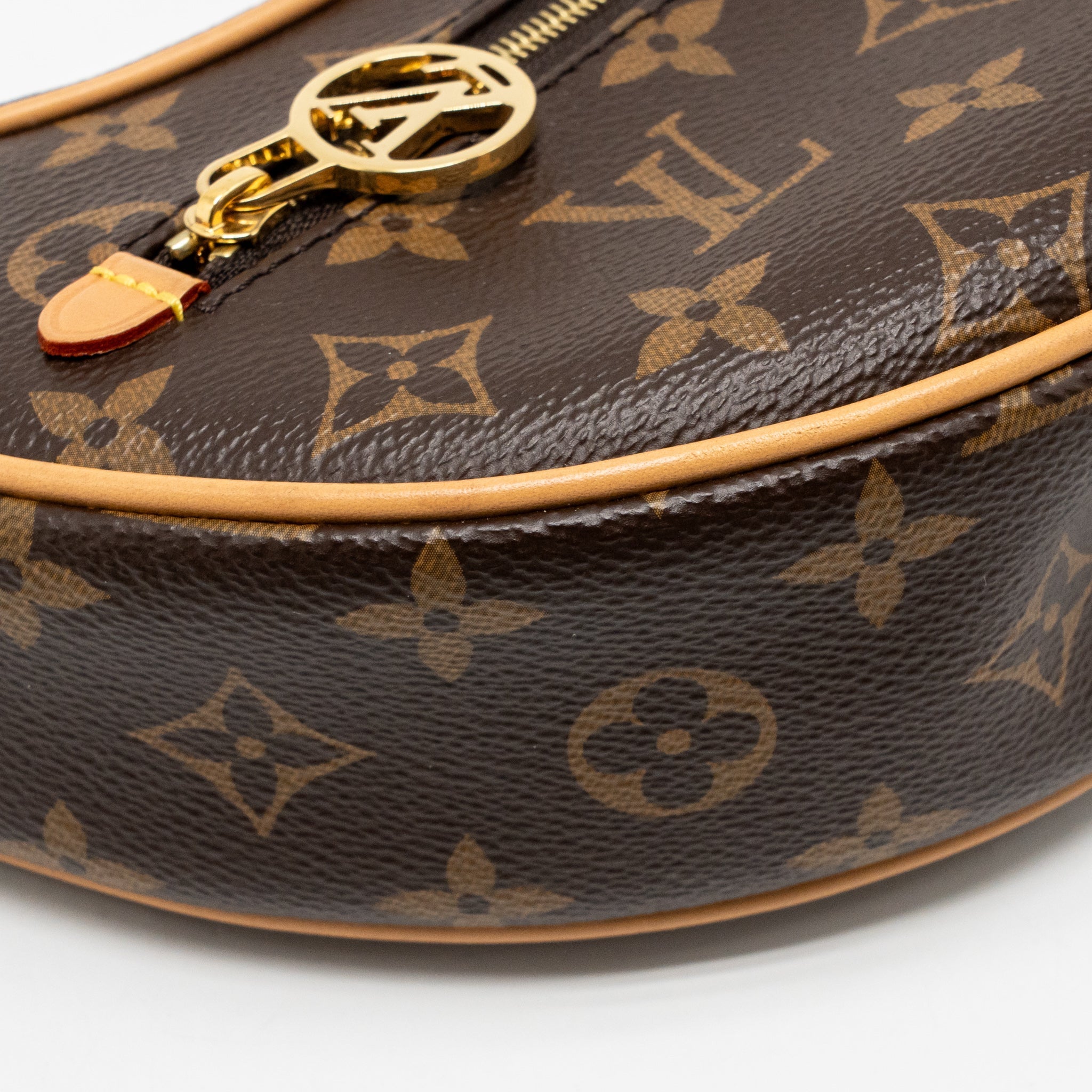 LOUIS VUITTON LOOP MONOGRAM CANVAS GHW