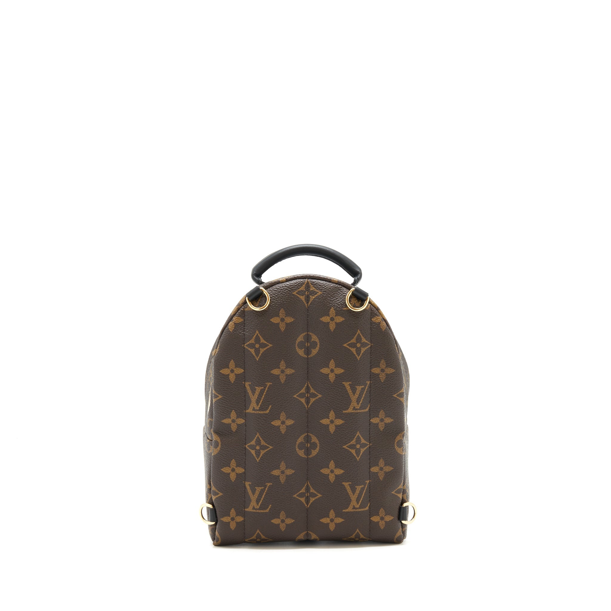 LOUIS VUITTON PALM SPRING MINI LIMITED EDITION MONOGRAM