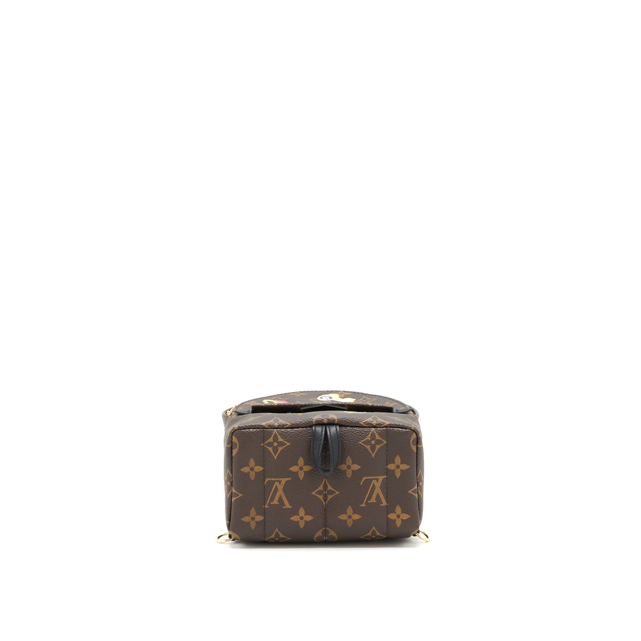 LOUIS VUITTON PALM SPRING MINI LIMITED EDITION MONOGRAM