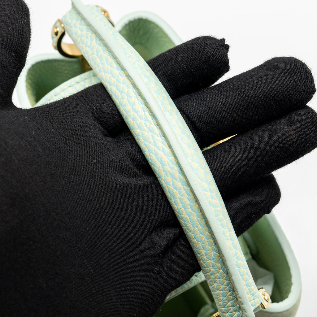 LOUIS VUITTON MINI CAPUCINES CALFSKIN IRIDESCENT GREEN LGHW