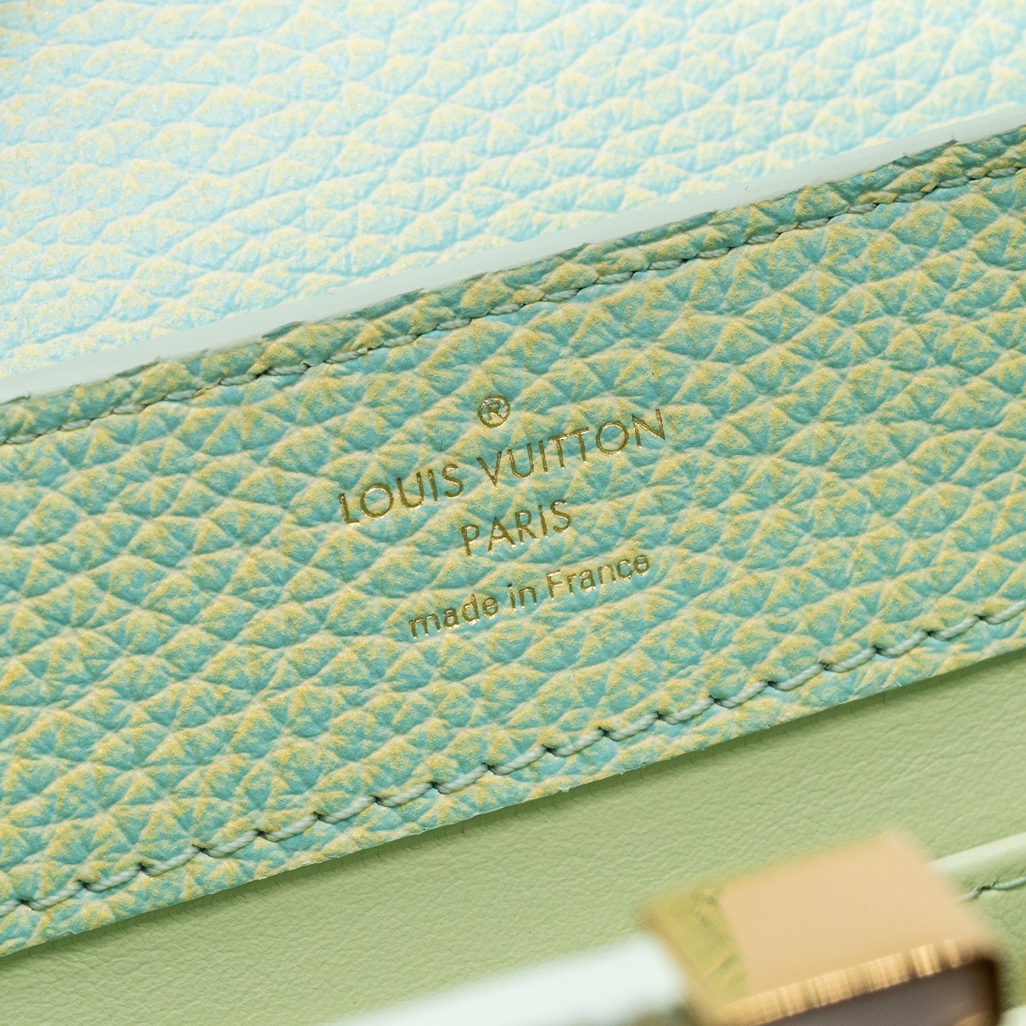 LOUIS VUITTON MINI CAPUCINES CALFSKIN IRIDESCENT GREEN LGHW
