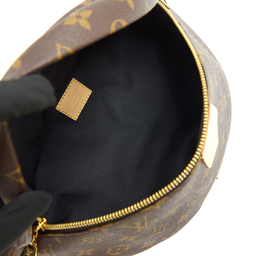 LOUIS VUITTON BUMBAG