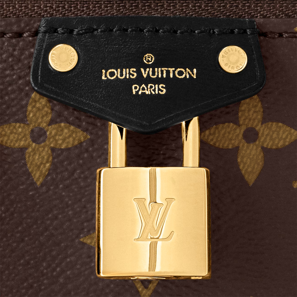 LOUIS VUITTON MONOGRAM VANITY CHAIN POUCH